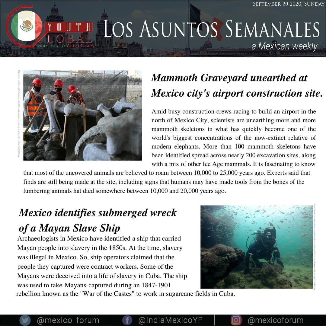 mexico_forum's tweet photo. India-Mexico Youth Forum presents its second issue of 'Los Asuntos Semanales', a weekly, which aims to highlight the recent happenings in Mexico.

#mexicannews #weeklyissue #mexico #tourismsector #mexicangovernment https://t.co/GLrjxp1XZu