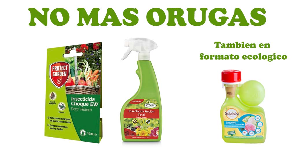 Viveros Ducasse (@viverosducasse) on Twitter photo 