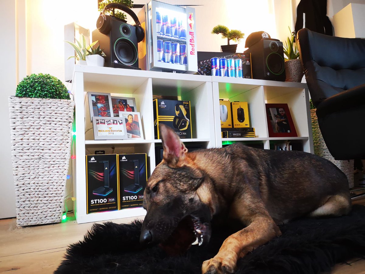 zonixxCS's tweet image. Dank @redbullGER und @CORSAIRDE heute komplett ready für den GLX #8 Qualifier. Letzte Chance um sich für das Main Event zu qualifizieren und deswegen wird das für euch gestreamed!

Wann? 16.00 Uhr
Wo? Twitch.tv/zonixxcs

#Werbung #GOBIG #gemeinsam