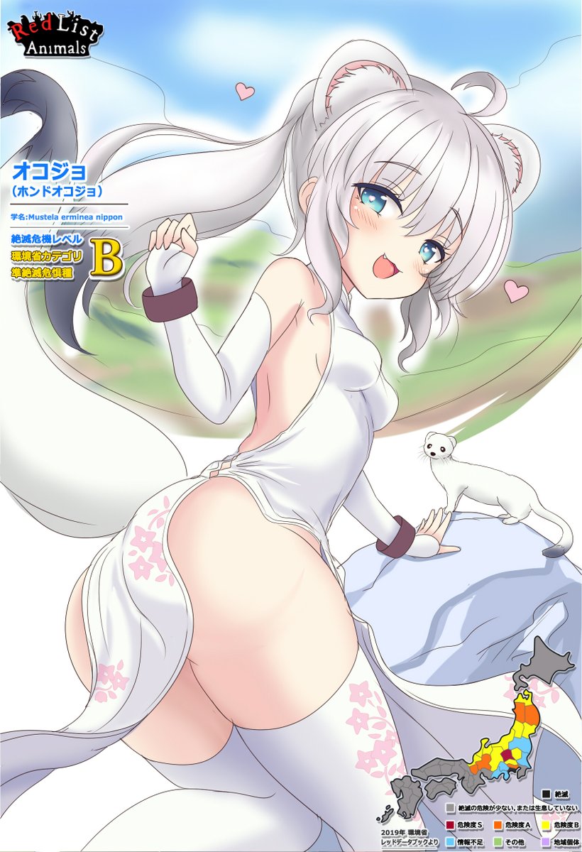 将来、絶滅の恐れがある日本の動植物を
イメージイラスト(擬人化?)でご紹介
【ラフ_4体目】

「オコジョ」のイメージラフ('ω')ノ
長野県の天然記念物で、神奈川県では絶滅しているようです。

#イラスト #illust #落書き  
#絶滅危惧種 #Redlist 