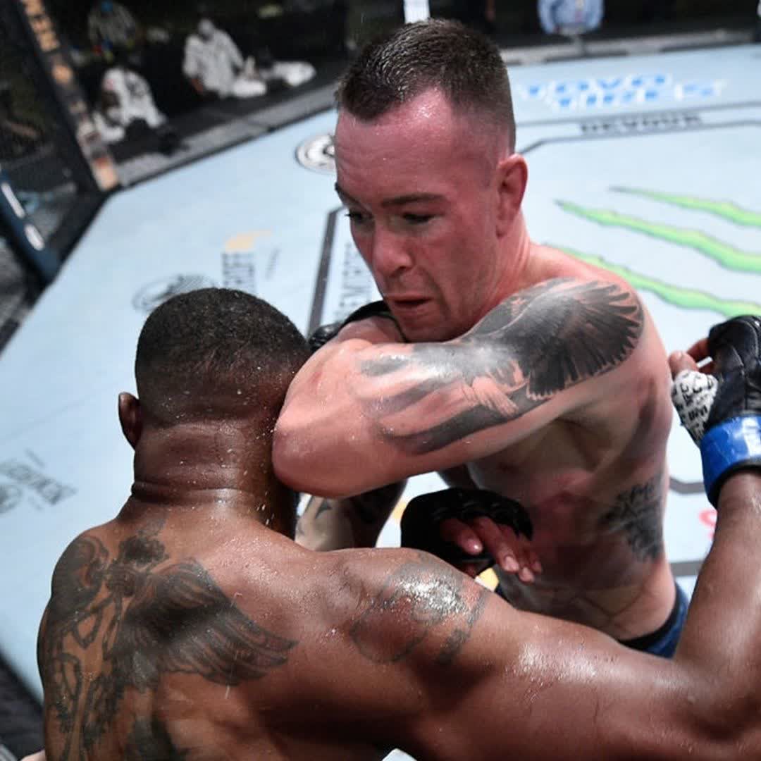 346. Colby Covington has an engine for days. 