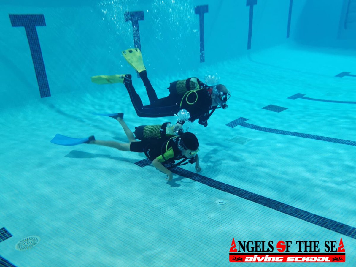 ANGELS OF THE SEA tweet media