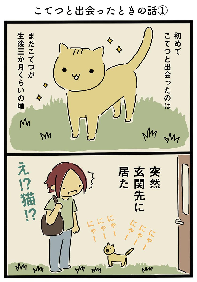 イワコ 猫マンガ こてつを拾ったときの話1 4 猫 エッセイ漫画 猫マンガ 絵日記 猫好きさんと繋がりたい