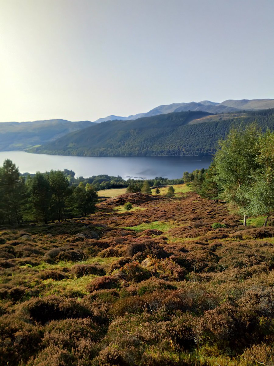 KSzkocja's tweet photo. Jesienny #LochTay i ostatnie tchnienia kwitnących wrzosów...
#perthshire #scotland #szkocja #OutAndAboutScotland #wrzos #picoftheday https://t.co/a2X9JDuAok