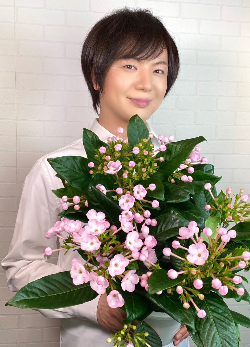 ট ইট র 竹島宏スタッフ 公式 におい桜 花言葉は 清純な心 はじめて見る花が届きました とても優しい甘い香りがします 東京は秋を感じる陽気 今日も1日お疲れ様でした ひろネット 花 Flower 感謝 花言葉 花便り 花を贈ろう 花のある ট ইট র 竹島宏スタッフ 公式 におい桜 花言葉は 清純な心 はじめて見る花が届きました とても優しい甘い香りがします 東京は秋を感じる陽気 今日も1日お疲れ様でした ひろネット 花 Flower 感謝 花言葉 花便り 花を贈ろう 花のある
