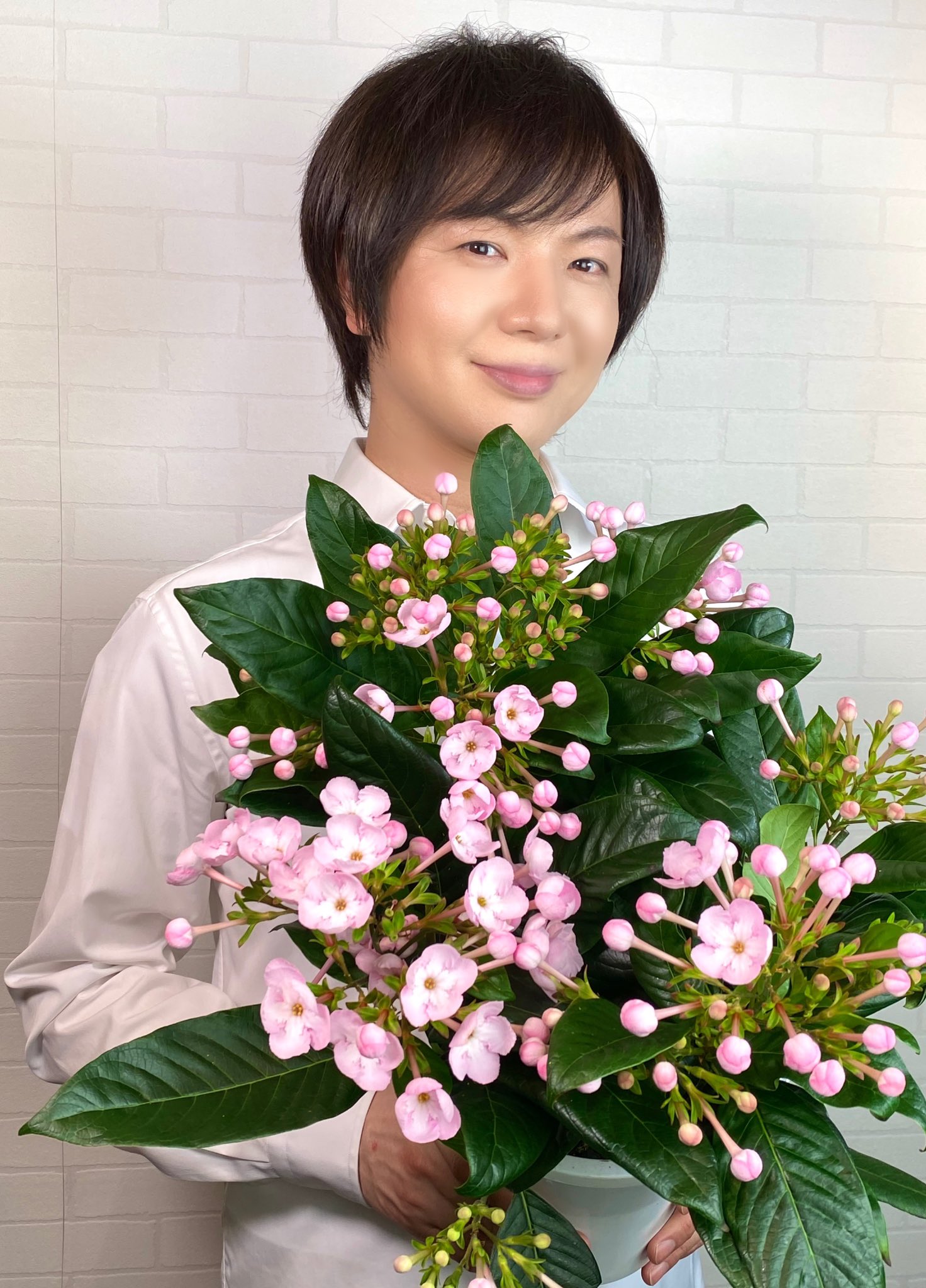 Twitter 上的 竹島宏スタッフ 公式 におい桜 花言葉は 清純な心 はじめて見る花が届きました とても優しい甘い香りがします 東京は秋を感じる陽気 今日も１日お疲れ様でした ひろネット 花 Flower 感謝 花言葉 花便り 花を贈ろう 花のある
