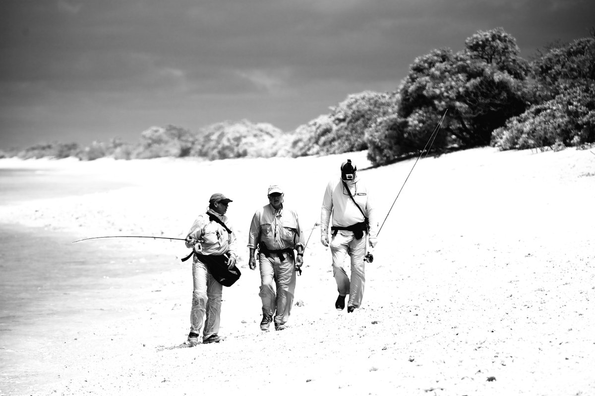 FishChristmas's tweet photo. Endless flats with close friends, Christmas Island, Republic of Kiribati. @FishChristmasIsland #patagonia_flyfish #flyfishing #bonefish #simmsfishing #saltwaterfishing #fishitwell  Sage Fly Fishing Fish Christmas Island https://t.co/4Wji7oZlRc