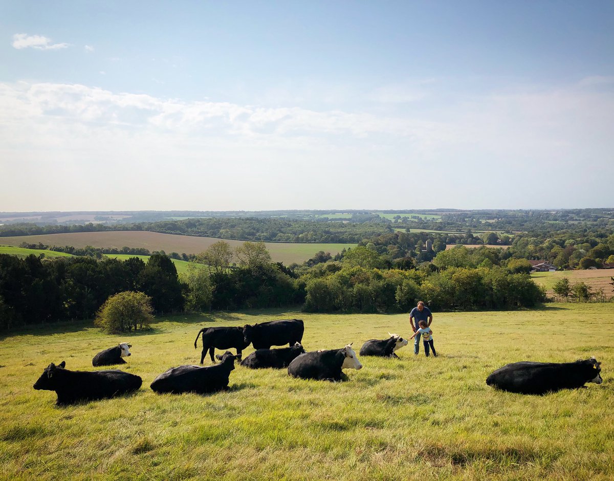 DonnaAshlee1's tweet photo. It’s the fabulous @OpenFarmSunday today. We are sheep and cattle farmers down in Kent with a passion for #outdoorlearning. Our #farmersdaughter gets in on the action! #OFS20 https://t.co/faNIwvFfTG
