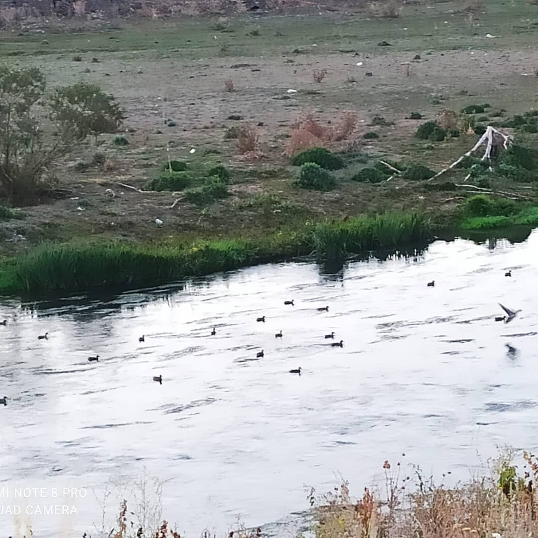 DKMP Kars Şube Müdürlüğü ekiplerimizce yasadışı avcılığın ve biyokaçakçılığın önlenmesine yönelik olarak sürdürülen Koruma-kontrol faaliyetlerimiz aralıksız olarak devam etmektedir.