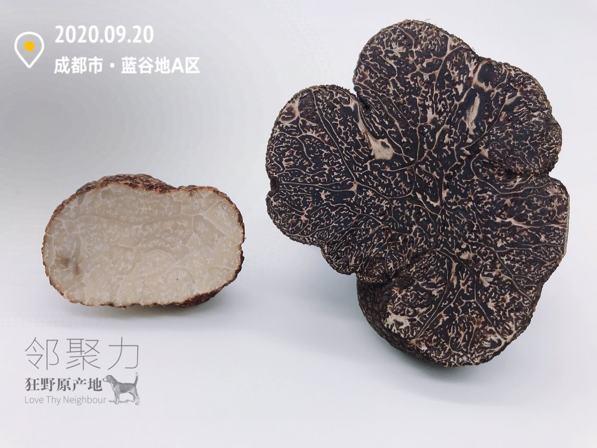 chinesetruffles's tweet photo. #chefsclubtaipei #cheflife #specialtyfood #seoulchef #macauchef #dubaichef #shanghailife #shanghaichef #chinachef #hkchef #bangkokchef #beijingchef #chefstable #trufflehk #mumbaichef #michelinguide #michelinstarchef #frenchrestaurant #italianrestaurant #spanishrestaurant https://t.co/E30u5nFJ9E