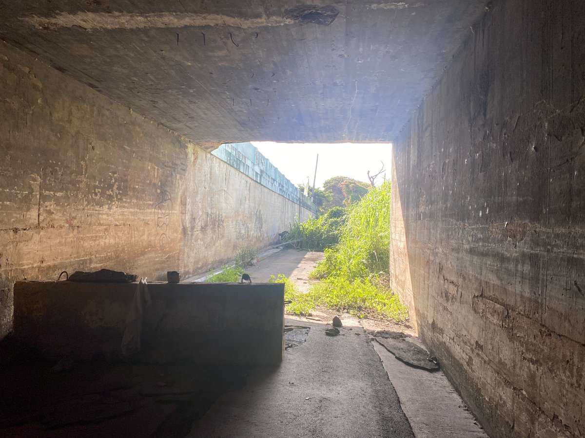 📍 Arecibo, PR. La carretera #2 es tan vieja que cuando se construyó hicieron pasos a desnivel en intersecciones con el antiguo ferrocarril. Imagina un paseo lineal atravesando por estos viaductos abandonados. 🚴🏽‍♂️🏃🏽‍♀️🧑🏽‍🦽🛴🚶🏽‍♂️🚂 #veredadeltren Apoya la idea: change.org/p/puerto-rico-…