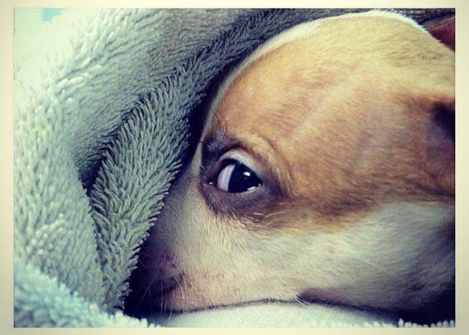 mils_09's tweet image. aaaikhona madoda😂😂😂
#TeamSeabe
#OpenFireChallenge