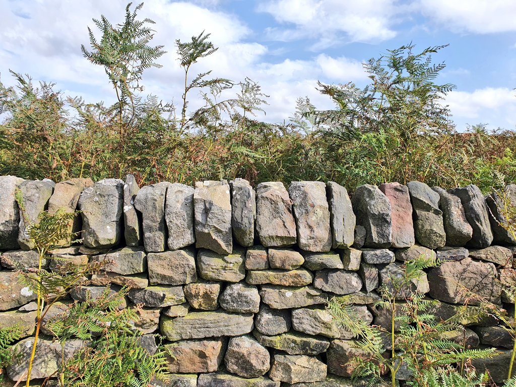 joshnoakes_mla's tweet photo. Dry stone wall appreciation post.... so many great examples in the #PeakDistrict
#drystonewall #stone #wall #masonry #hardlandscape #yorkshire #landscape #design https://t.co/YWltoQgLYo