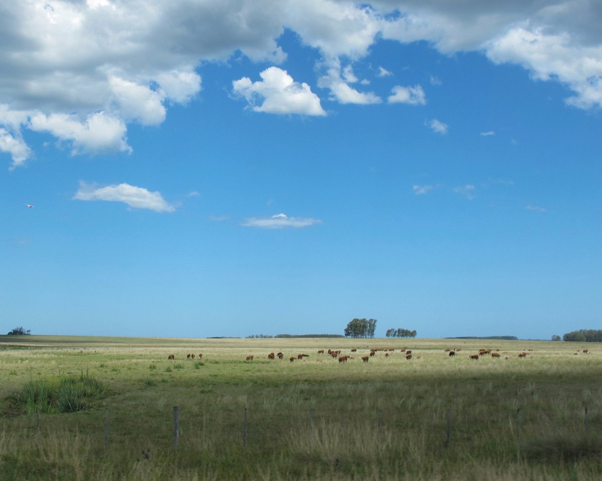 Some of my fave pics from Uruguay vacations. Mostly Punta del Diablo & a spot just south of Chuy