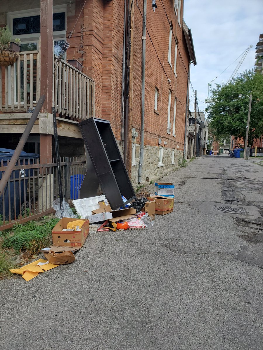 Zippysaid's tweet photo. @311Toronto 
Hello, is it possible to get this mess cleaned up. In the laneway between 90 Alexander St and 100 Alexander St M4Y1B9. It has been growing for a week now. https://t.co/FYmAW5Agf3