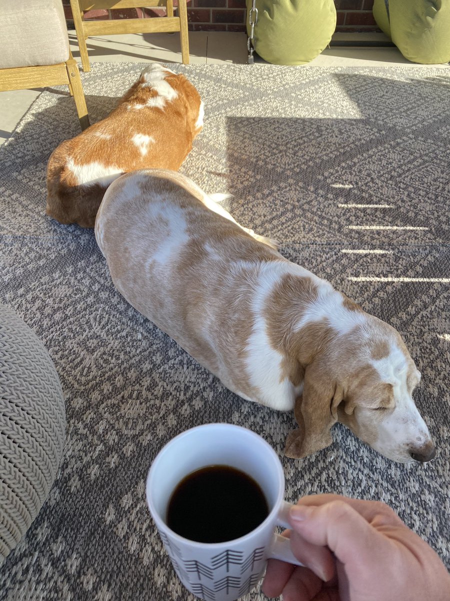ewilson33's tweet photo. My first Round of @blckriflecoffee Sunday Funday with the Hounds https://t.co/d5SmWWuCy5