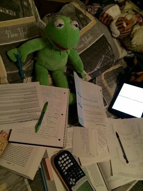 Me the night before exam