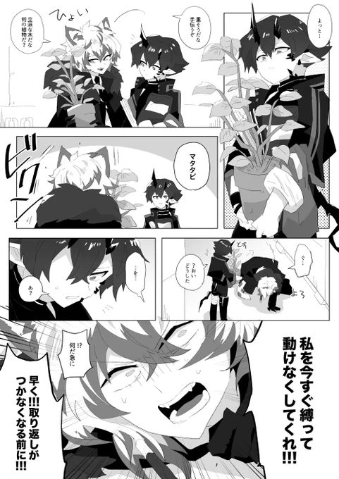マタタビ 