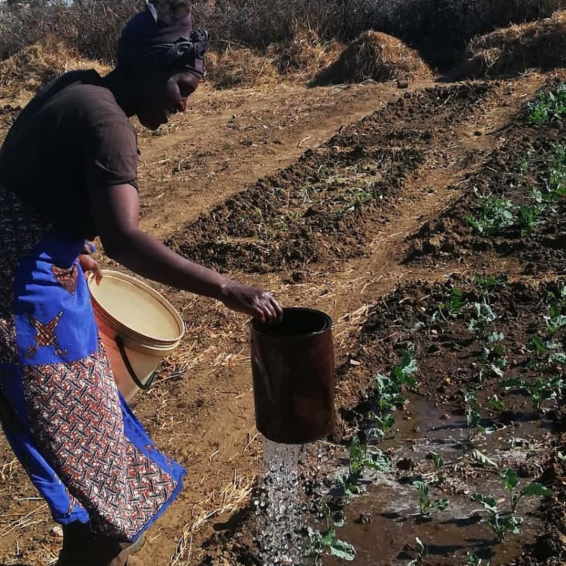 They are not "rural women". They are "women in rural areas". #working with what we have 
#womenempowerment #enhancingfoodsecurity #foodsecurity&amp;nutrition #ntabazinduna #umguzaward5 #mfanyananutritionalgarden