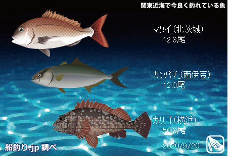 うぞっ Uzooo Twitter