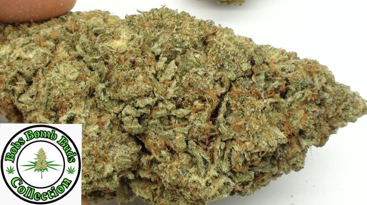 BobsBombBuds's tweet photo. Gorilla Breath episode goes live this evening. https://t.co/nVh9borZtf