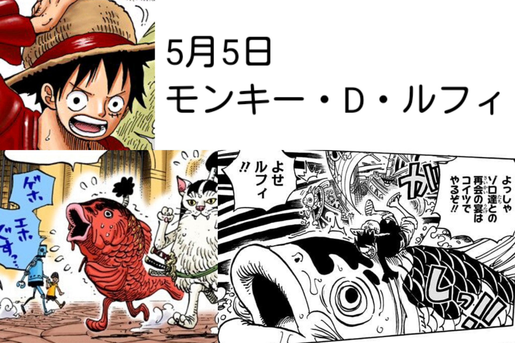 ディー 2 ルフィの誕生日は 鯉 のぼりの日 ドレスローザでは 鯉 の着ぐるみを身にまとい ワノ国上陸時には巨大な 鯉 の背に乗ります 更にfilm Goldでは金太郎の格好をしますが 金太郎には自分より大きな 鯉 を捕まえた伝説があるなど ルフィには 鯉 の