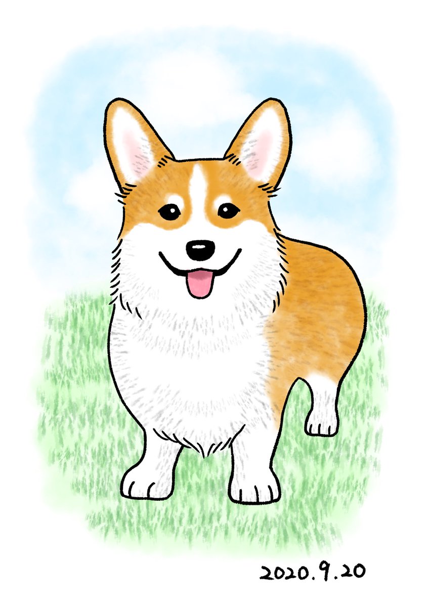 Chippoke ようこ 犬絵 コーギー デジタル絵画 デジタルイラスト イラスト 犬イラスト 犬の絵 犬 Chippoke犬絵