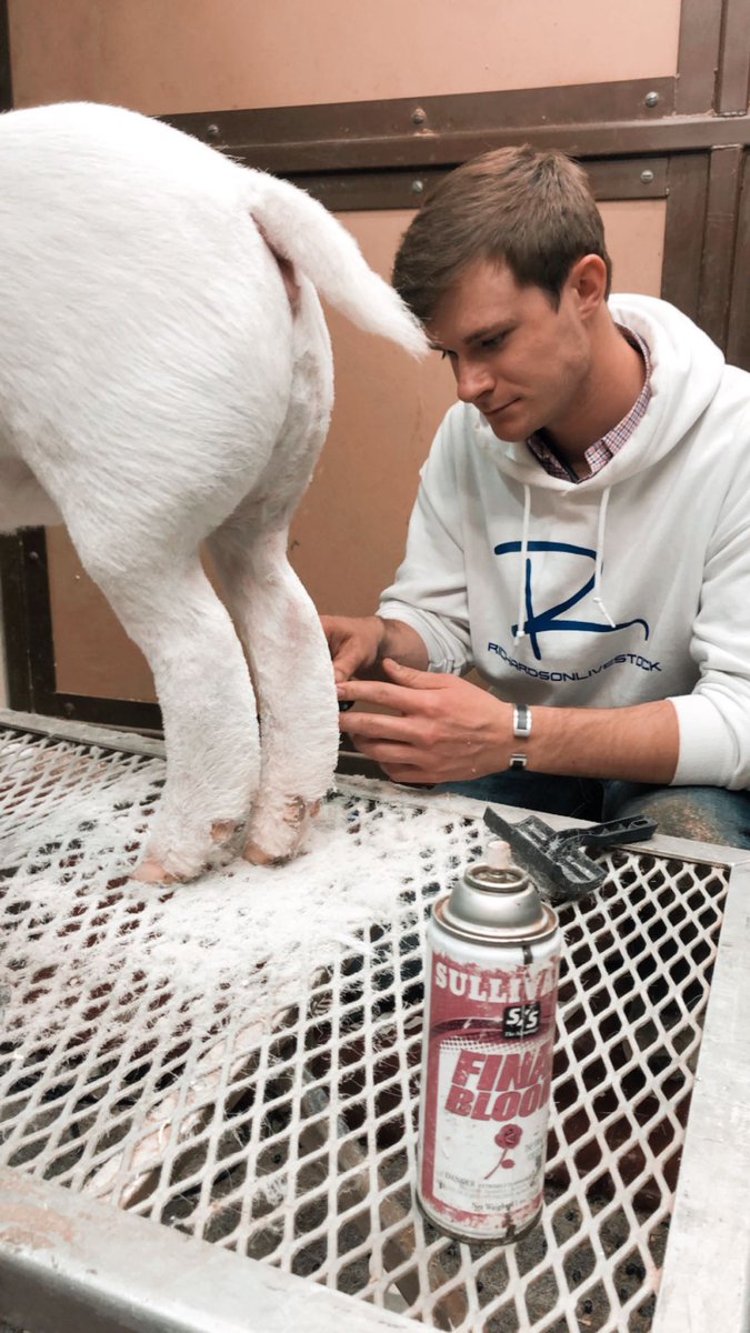 Happy Birthday to the best show side back leg west of the Mississippi <a href="/kylarlee52/">Kylar Lee</a>