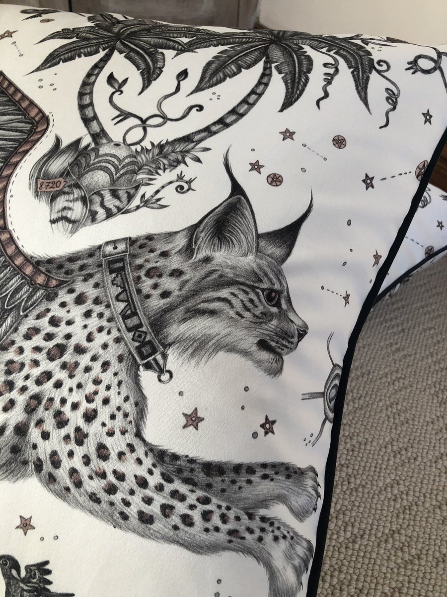 Caroline Aitken Interiors tweet media