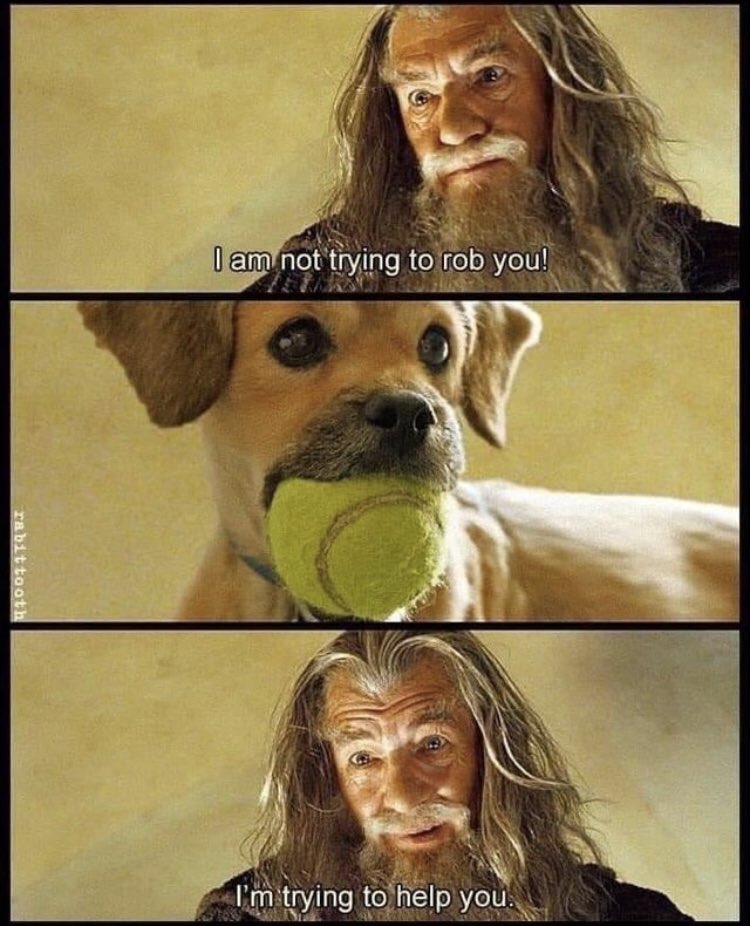 Respectful Memes tweet media