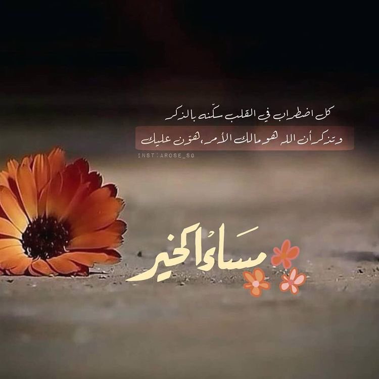 abuyaser009's tweet photo. لاتبحث عن قيمتك في أعين الناس
ابحث عنها في ضميرك
فإذا ارتاح الضمير ارتفع المقام
وإذا عرفت نفسك فلا يضرك ماقيل فيك https://t.co/lgIBXfyUc9