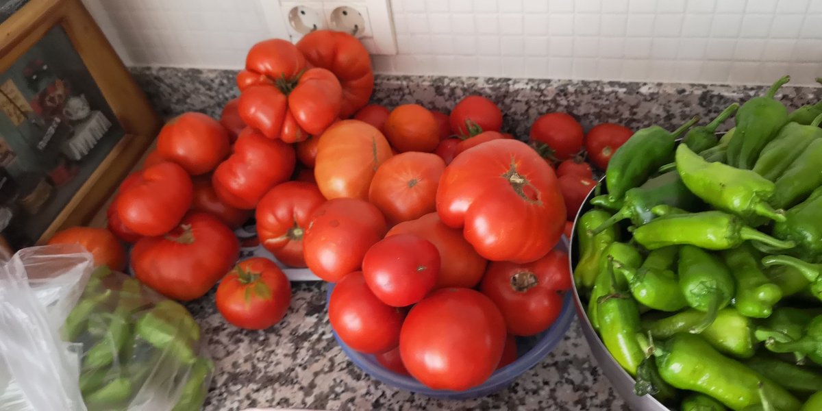 occitin's tweet photo. @dt_mba Bildim..🖐️ https://t.co/FQd50kgMYT