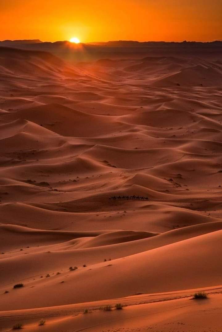 #DesertSunSet