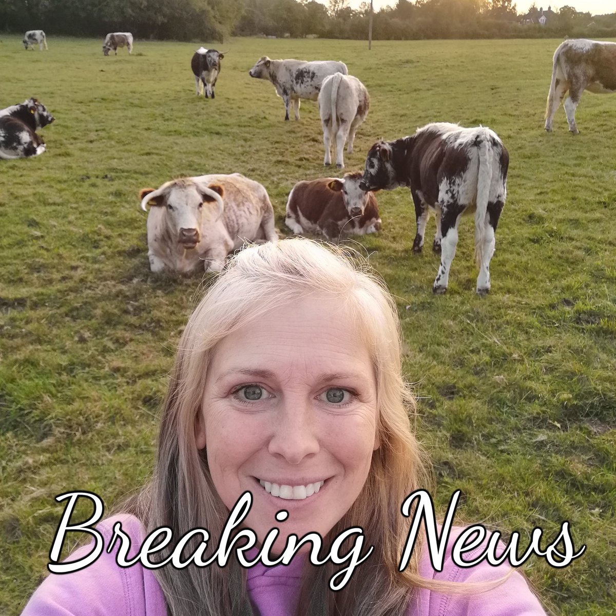 heathfarmsuffol's tweet photo. Incredibly proud 2 start sharing with u our next big journey, 1 want u our local &amp; wider community 2 be involve with in everyway. 🌟Heath Farm's Community Micro Dairy🌟A micro Dairy, where the calves stay with their Mothers &amp; we follow mother nature's lead.
More info to follow. https://t.co/UvUsNDASvm