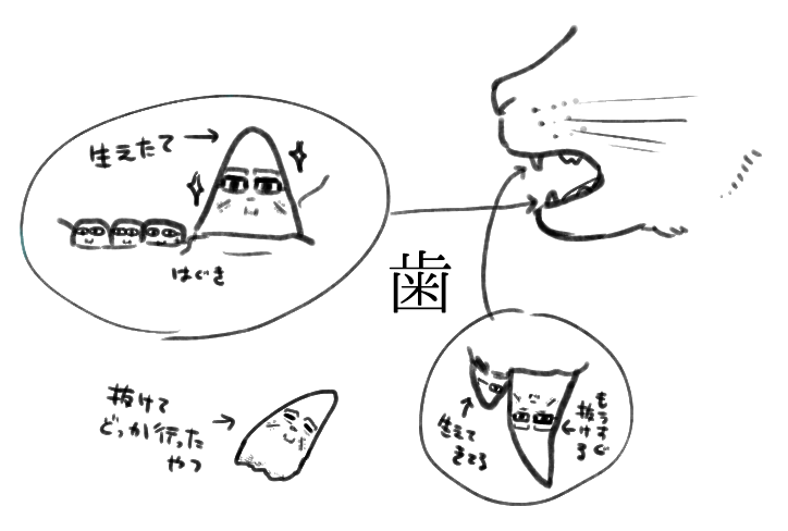 まめのすけの口に生えてる尾たちの世代交代 