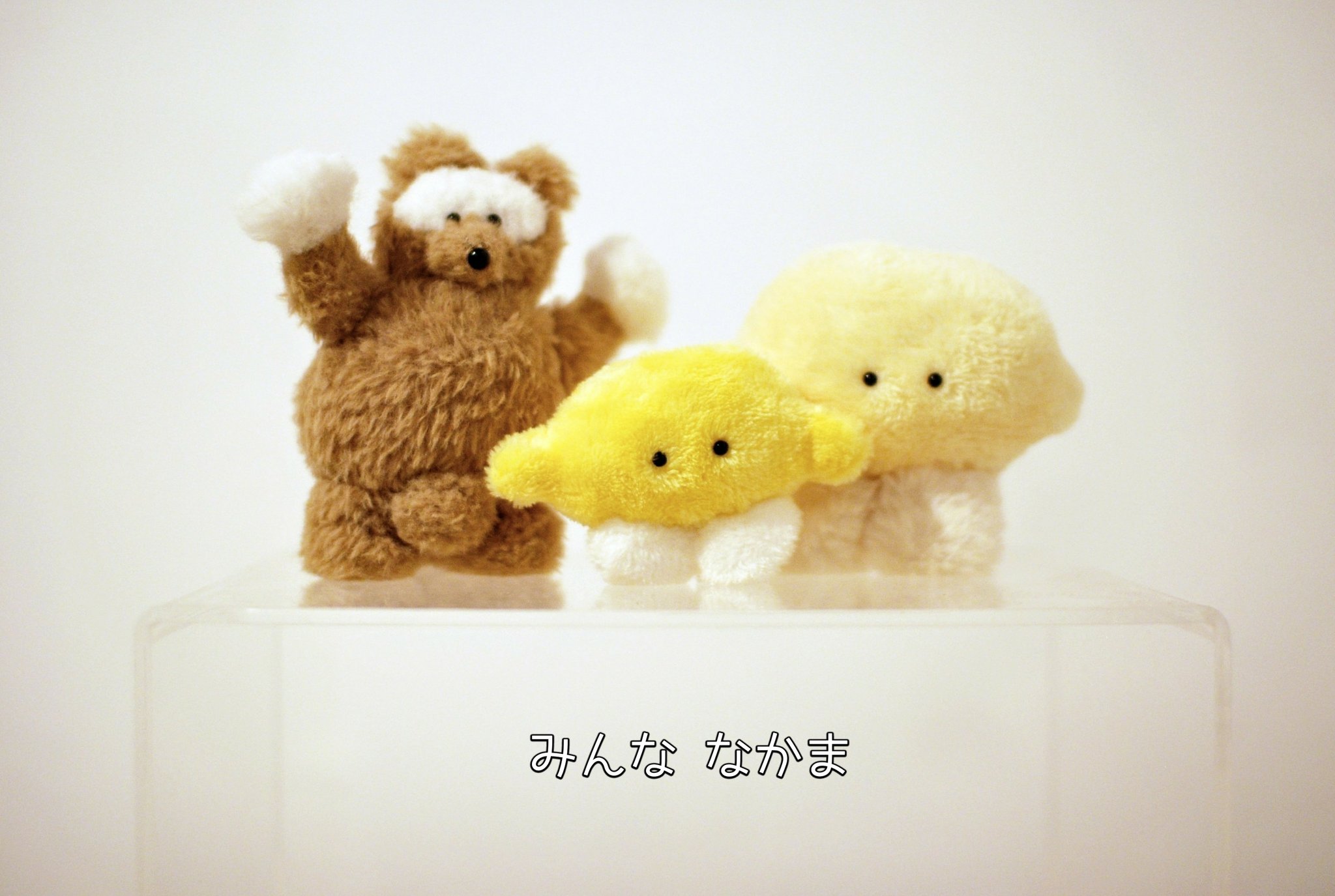 新品同様 空想アパートメント 星 ぬいぐるみ パッケージ有