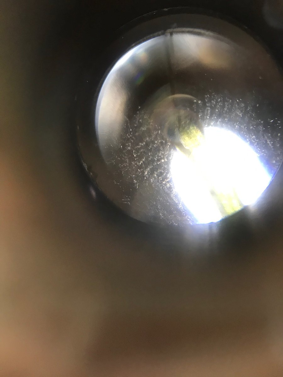 Snotlady5's tweet photo. Channeling my inner Leeuwenhoek this afternoon by looking at whatβs in our pond! Looking at the roots of duckweed and some tiny invertebrates- fascinates me each time & think my eldest was impressed π₯°π #MicroscopyIsAwesome https://t.co/zvTqBUANiv