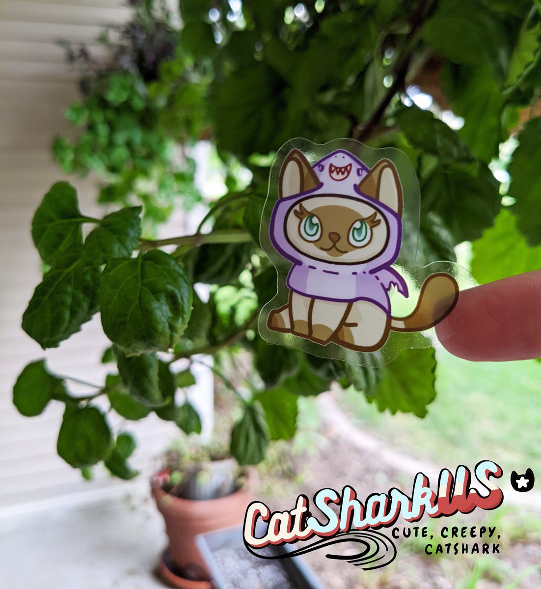 CatShark16's tweet photo. These lil' stickers need to go to a good home :)
https://t.co/Ya9XQRjdzM https://t.co/LLLQw58BVV