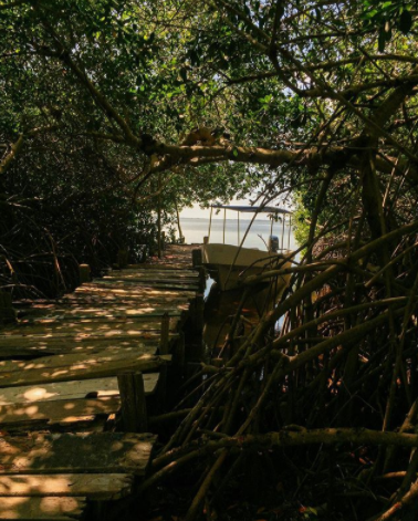 VisitMeridaMx's tweet photo. En los alrededores de Mérida podrás descubrir espacios para convivir y conocer la riqueza de la tierra y el mar. #VisitMeridaMx #PiensaEnMerida
IG: mexphotographer_ https://t.co/Of2FlPQE2Y