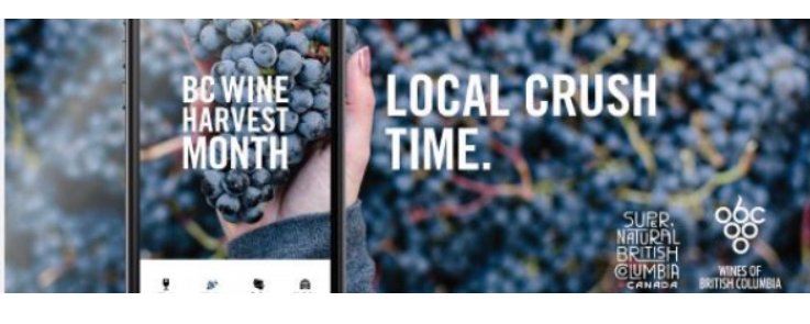 Members! We’re getting set to launch BC Wine Harvest Month and our Local Crush Time campaign. Order your POS now. Visit: ow.ly/yjNr30raq46