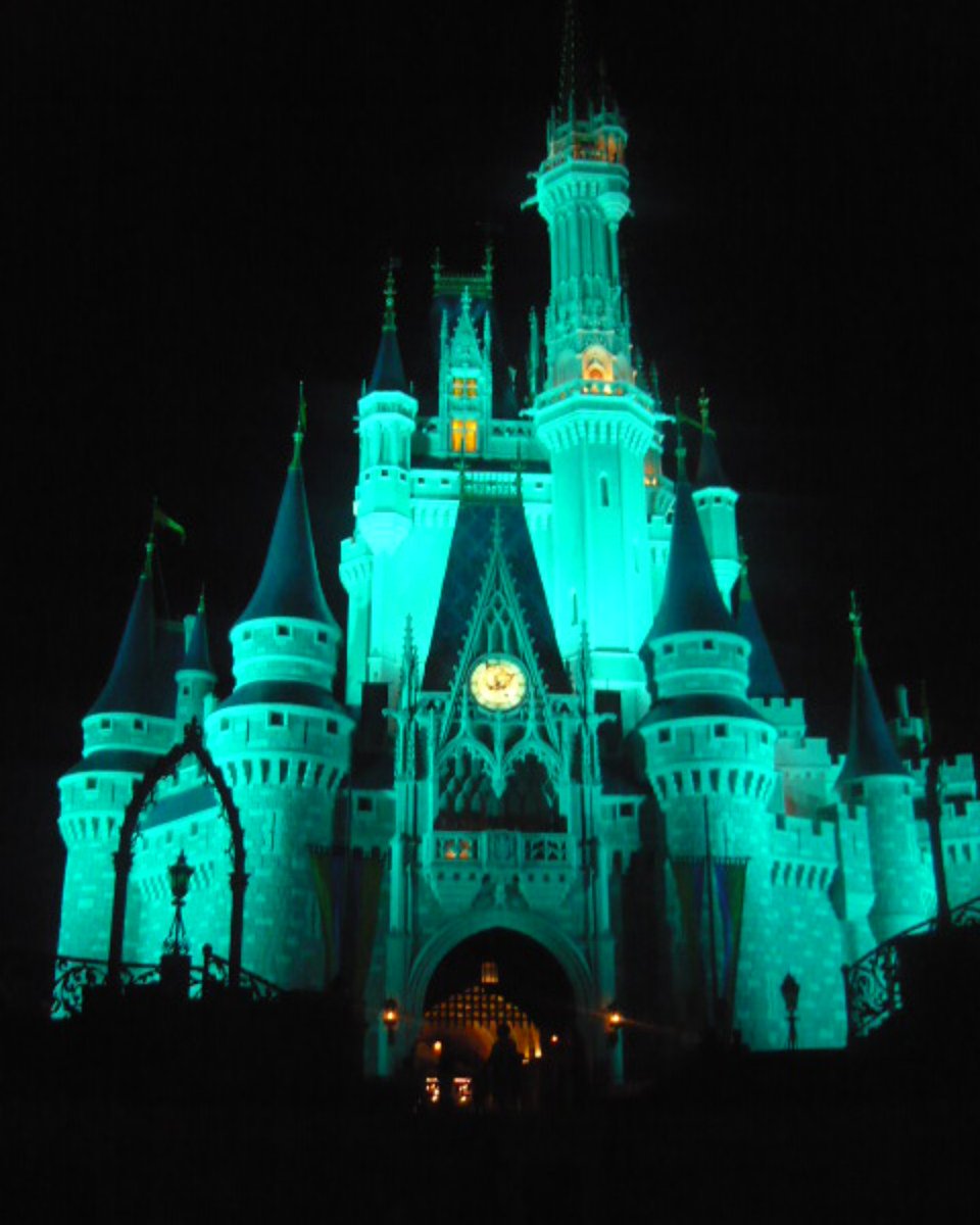 EpicDisneyFun's tweet photo. I only started going to Disney about 15 years ago - this is the first photo I ever took.  Share your earliest Disney photo.
.
#DisneyResorts #InstaDisney #DisneyMagic #DisneyLove #DisneyFamily #MickeyMouse #MinnieMouse #DisneyAddict #DisneyFan #WDW #Memories #FamilyTime #Vacation https://t.co/3sJKFlSe0h