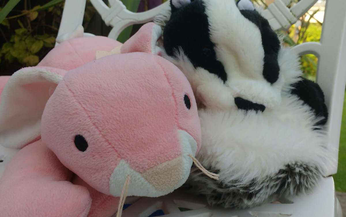 My friend Carrots and I have been enjoying the sun! 🌅