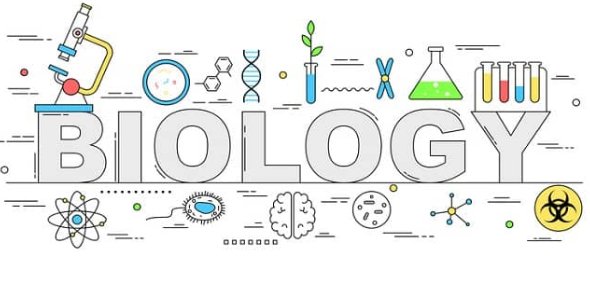 Onlinewriters01's tweet image. #biologyassignmenthelp #biologyexperttutors #onlinebiologyhelp #biologyhomeworkhelp
#Biology 
We at assignment help provides students all the required materials from several sources and help them make a single, accurate and correct conclusion out of them.

Dm @Onlinewriters01