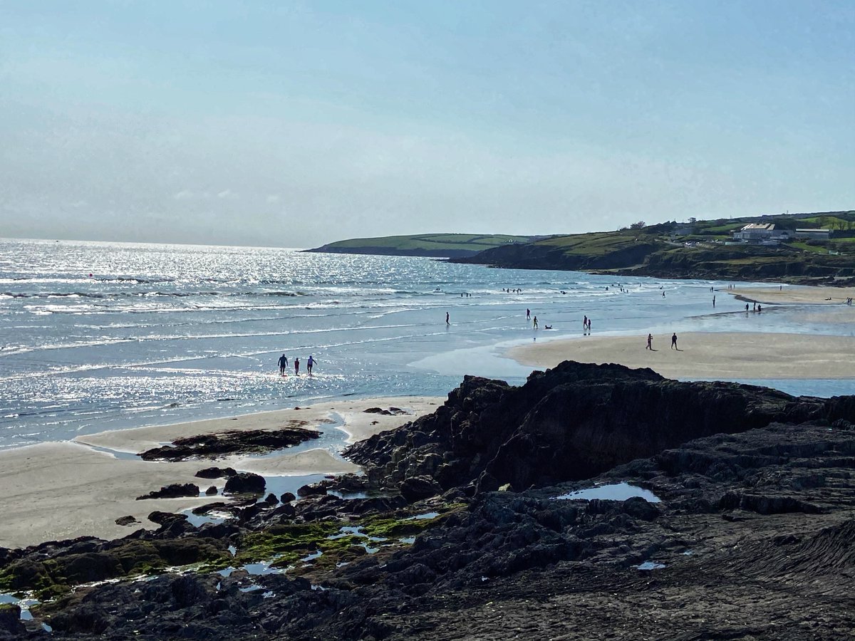 Wild Atlantic Family tweet media