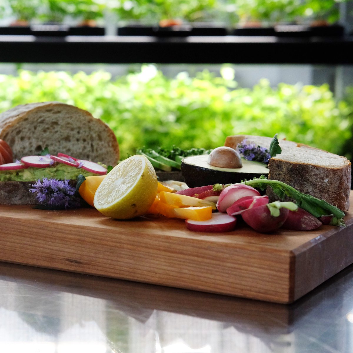 Enhance your next dinner party spread with Farmshelf's hard-to-source greens and herbs. It will definitely be a culinary experience for you and your guest. 😉
.
.
.
.
.
#smartindoorfarm #knowyourfood #foodie #veggies #chef