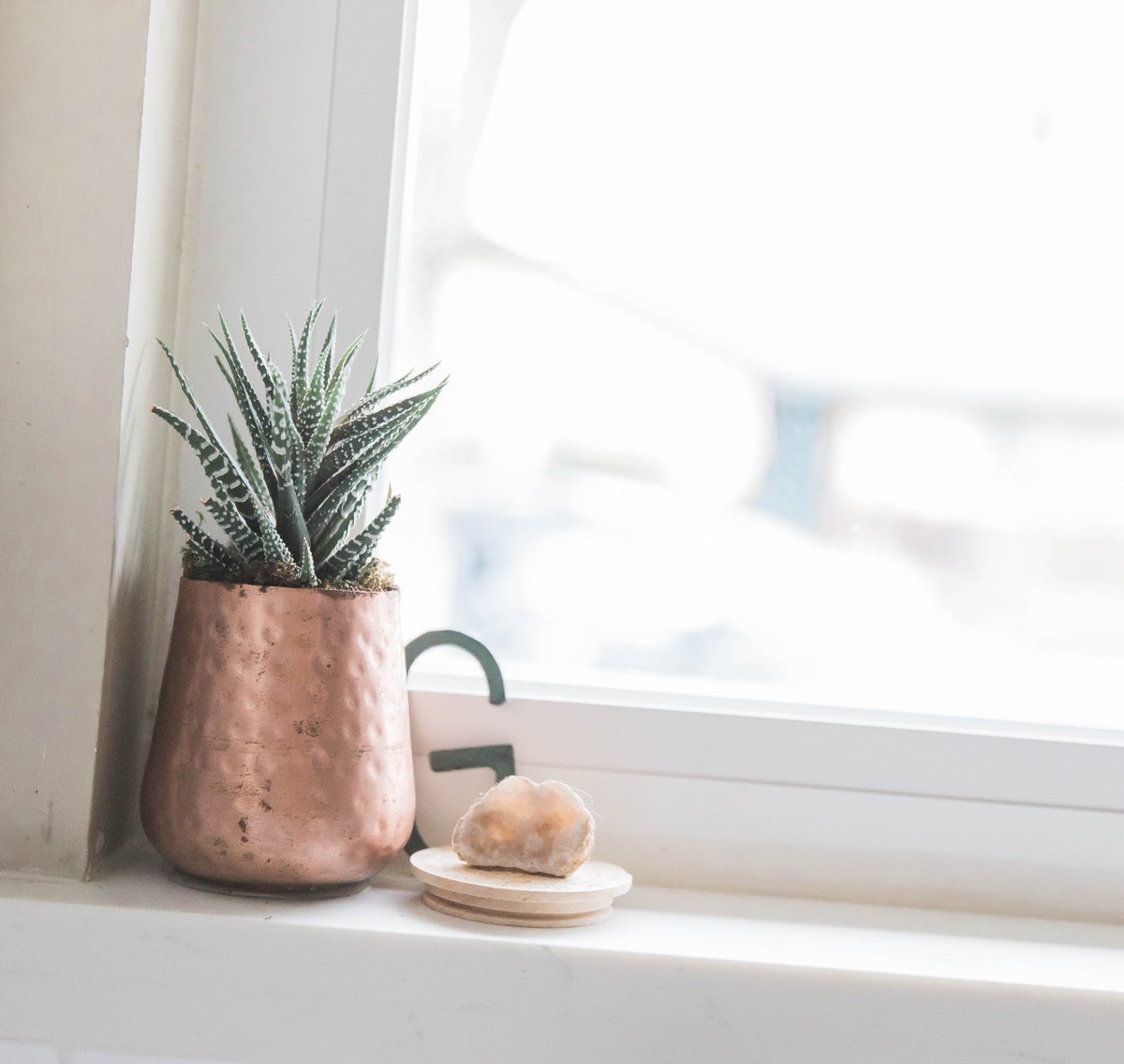 Good Morning 🔸 Start where you are🔸 Use what you have🔸 Do what you can.
Happy Sunday!