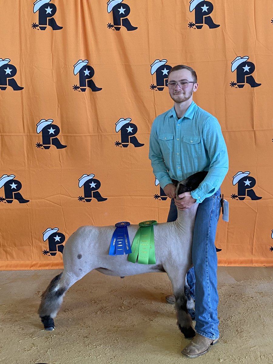 ClearCreek_FFA's tweet photo. Congrats to our Creek lamb exhibitors showing at Pasadena Livestock Show today. They all secured a spot in the auction on Thursday! @CreekWildcats https://t.co/QxrOZSTZxj