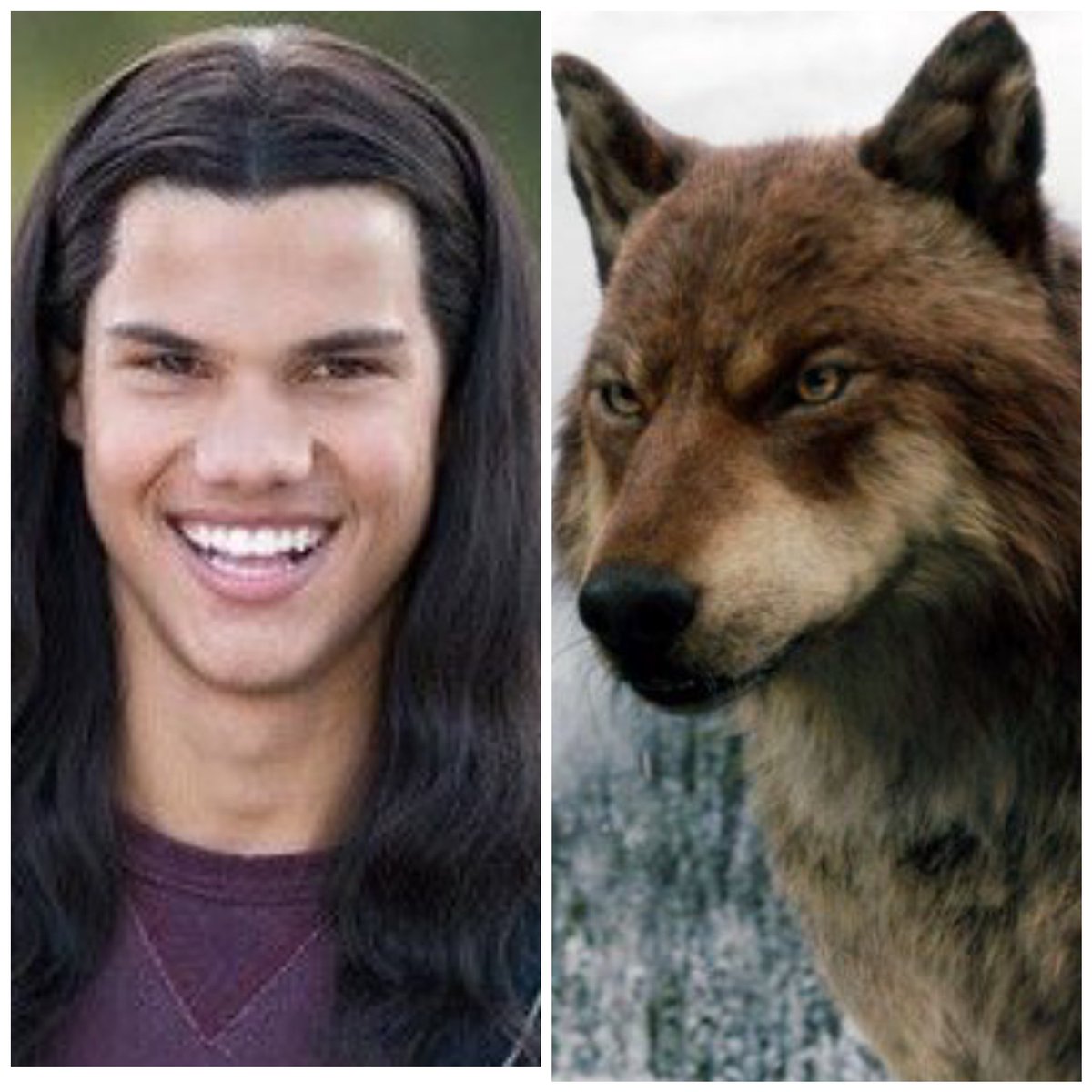 He's single and looking for an imprint to imprint on if anyone is interested please either comment or dm him