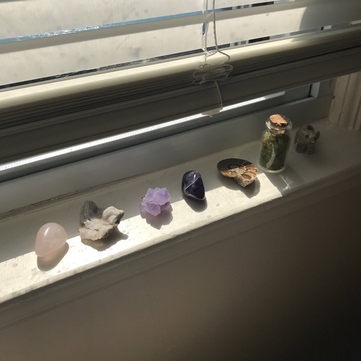 i got some new babies yesterday 🥺