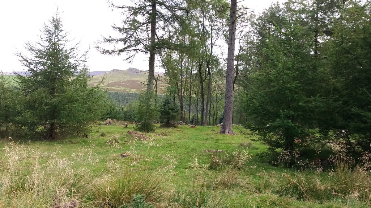 Another weekend exploring new trails near home!🍁🏞🏕💚